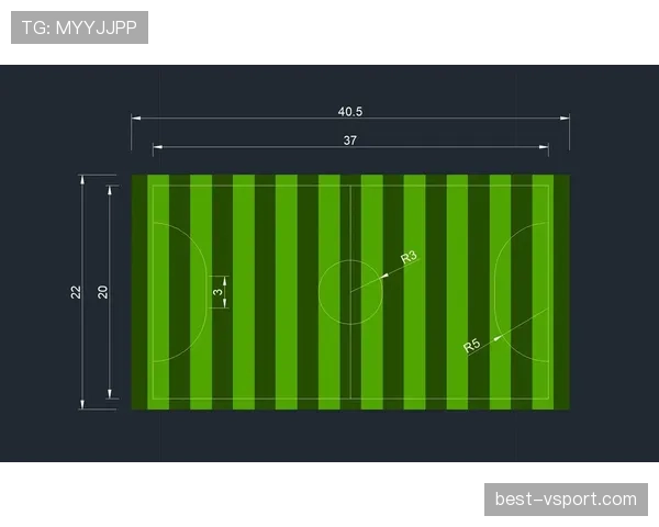 五人制足球规则详解：比赛人数与场地尺寸的判定标准